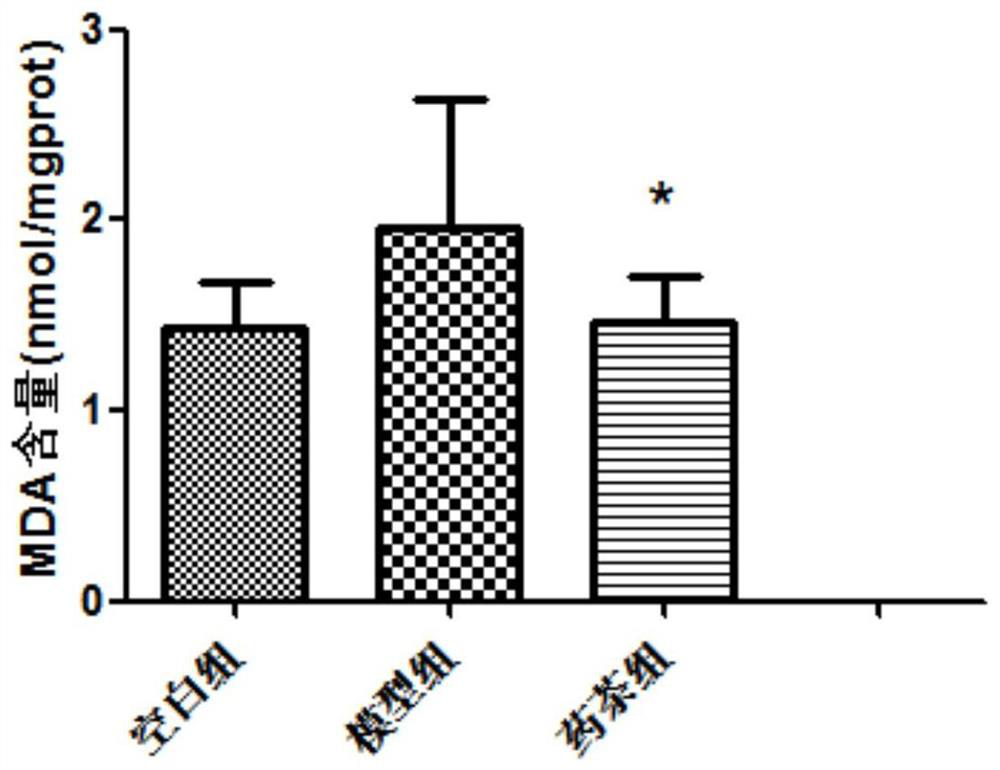 Medicinal tea for invigorating kidney and strengthening yang and preparation method thereof