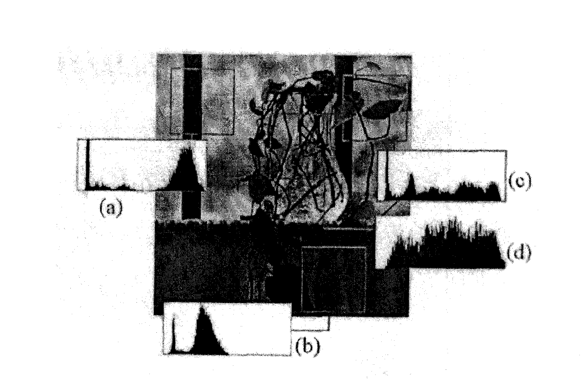 Directional pyramid coding method of image