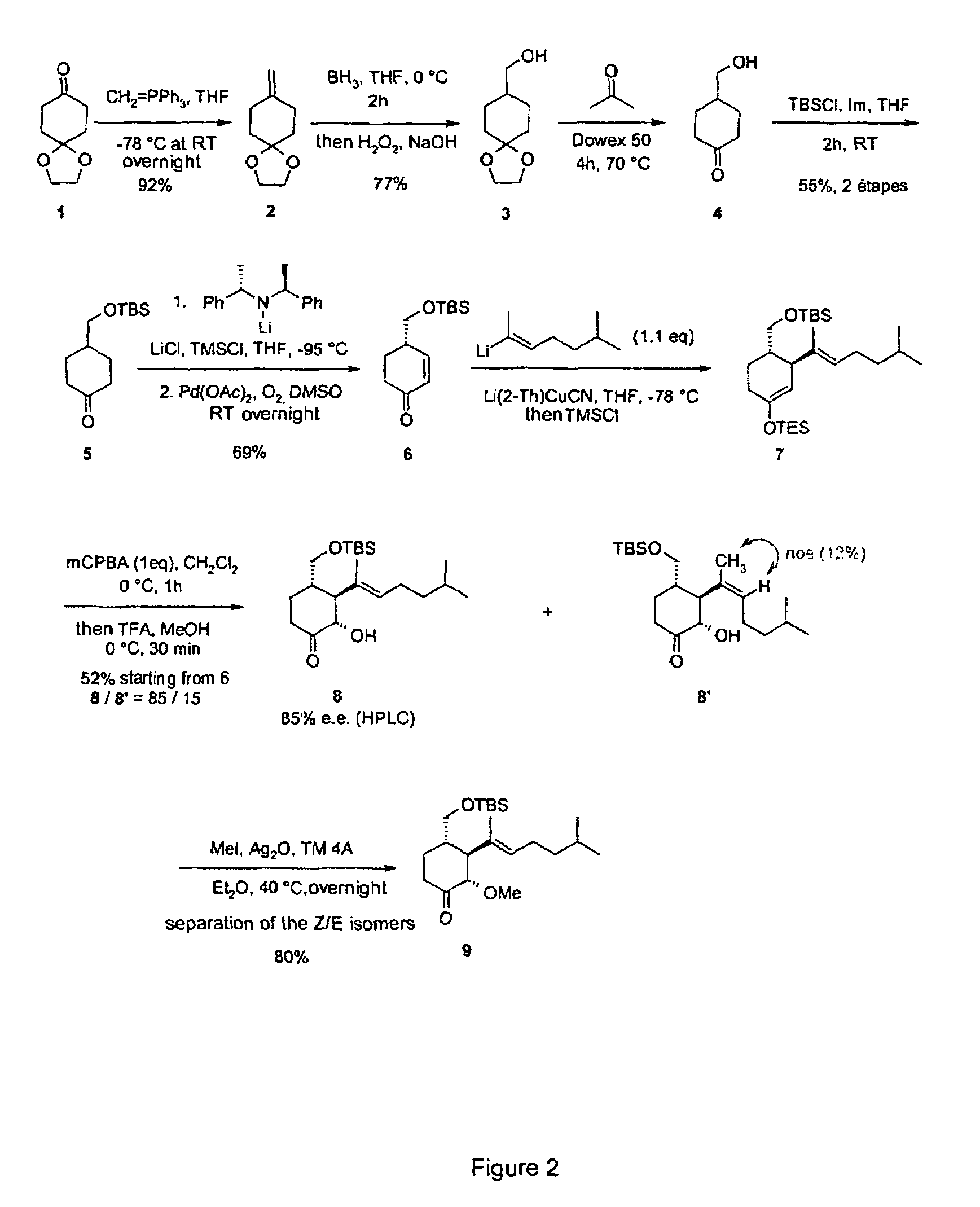 Angiogenesis inhibitors and pharmaceutical/cosmetic applications thereof