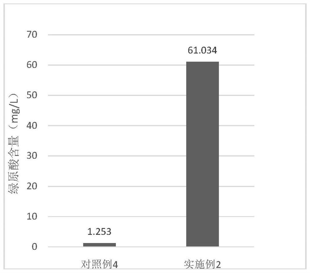 Chlorogenic acid-rich wine and production method thereof