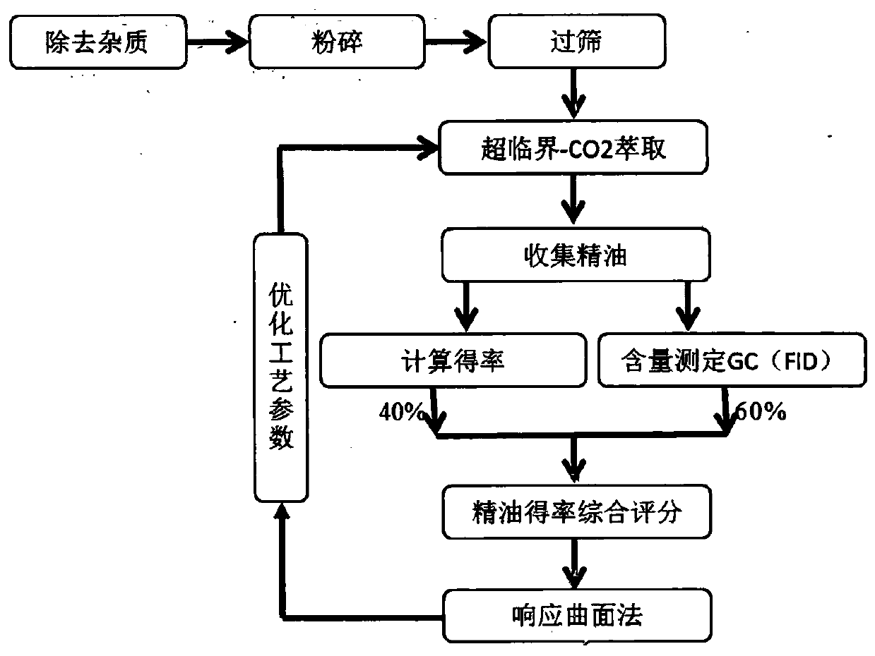 Method for optimizing supercritical extraction of high-purity fennel essential oil based on response surface method