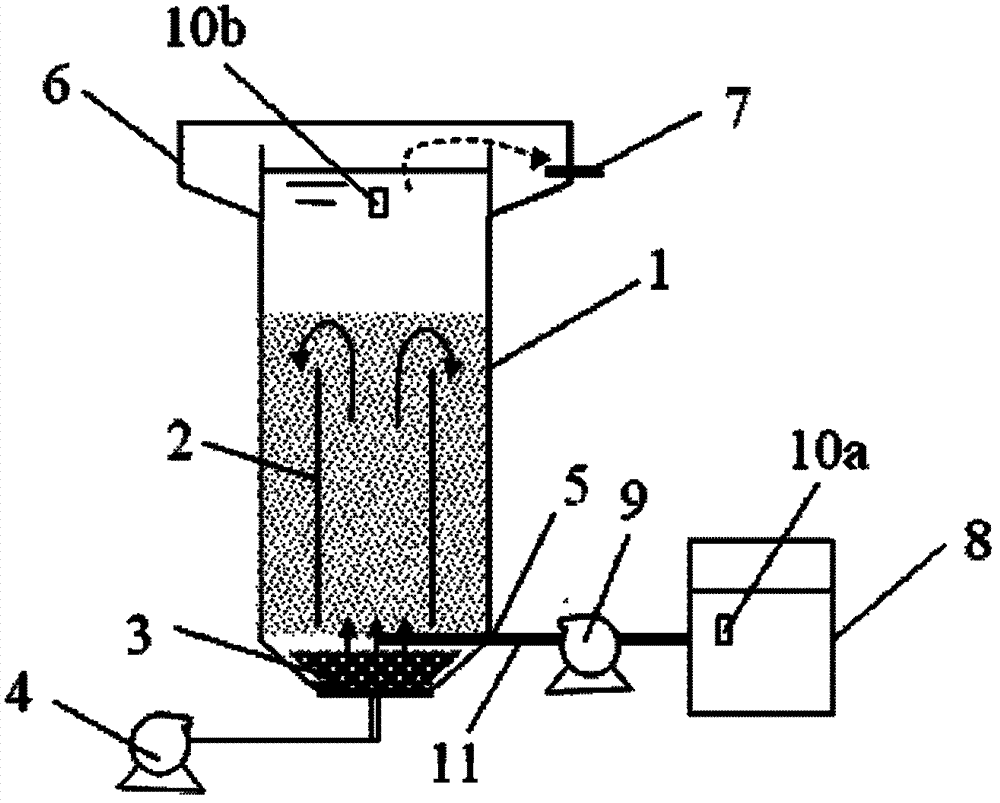 Three-phase reactor used for Fenton reaction