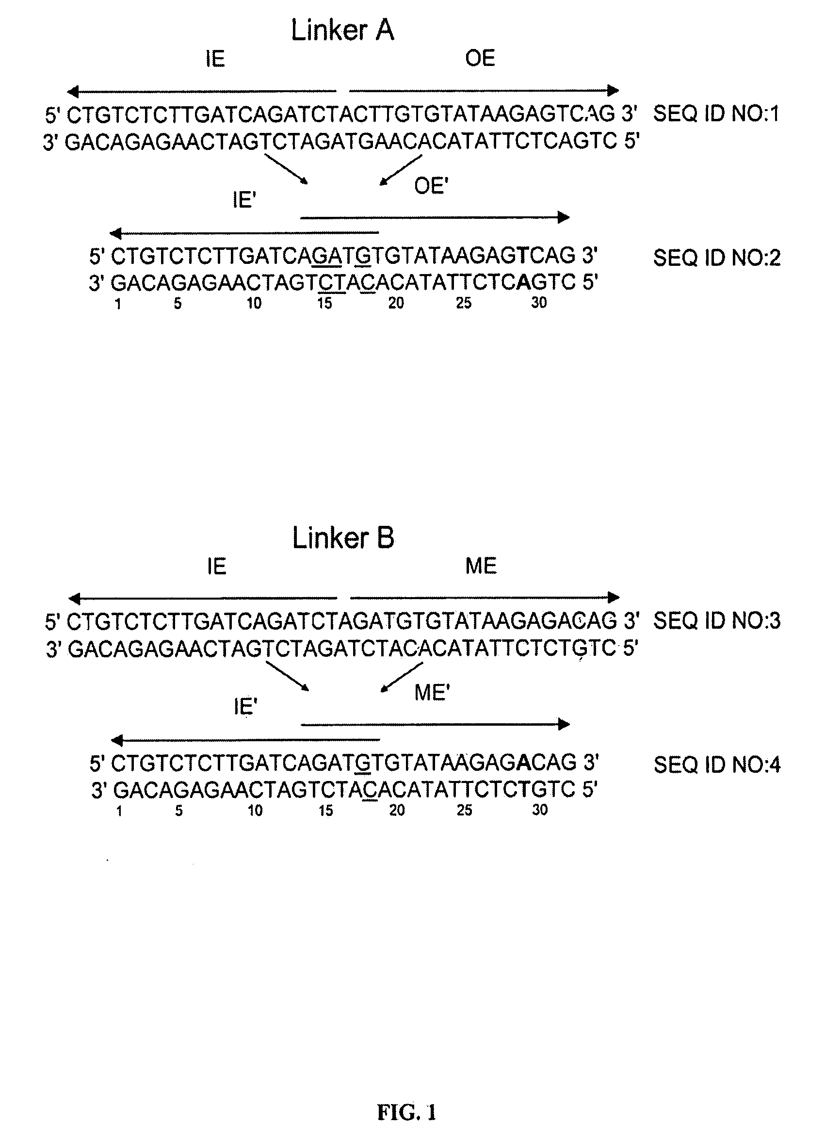 Double transposition methods for manipulating nucleic acids