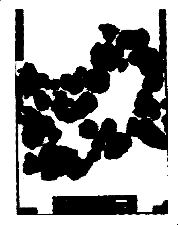 Nano core-shell type copper-nickel bimetal powder body and preparing method and application thereof