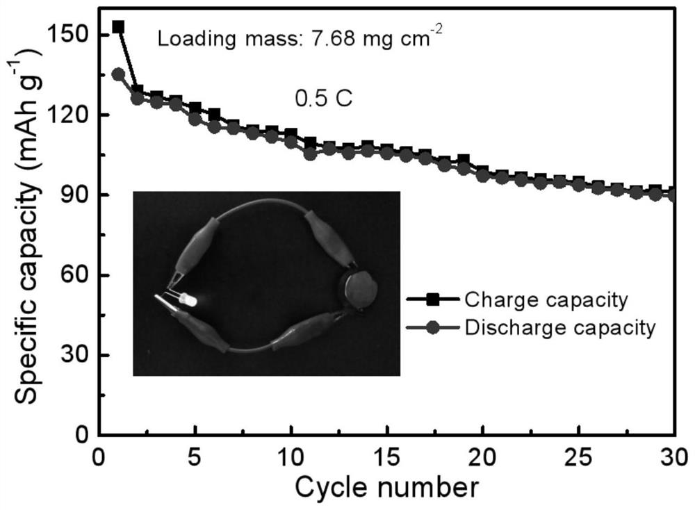 Application of a Multifunctional Organic Gel in Lithium-ion Batteries