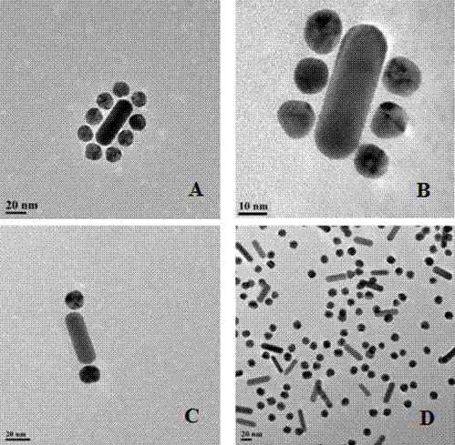 Preparation method of self-assembly material having surface-enhanced Raman activity