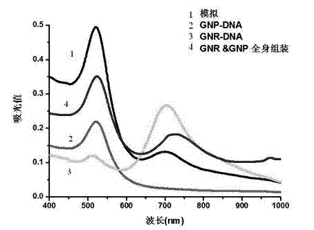 Preparation method of self-assembly material having surface-enhanced Raman activity