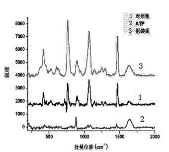 Preparation method of self-assembly material having surface-enhanced Raman activity