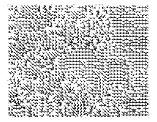 Video stream motion vector calculation method