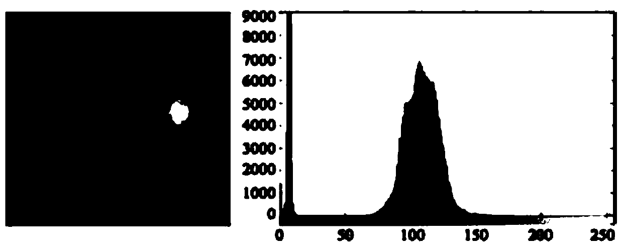 A method for screening fundus images