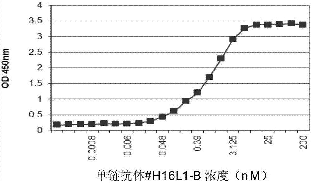 Anti-human papilloma virus L1 protein antibody, and coding gene and application thereof