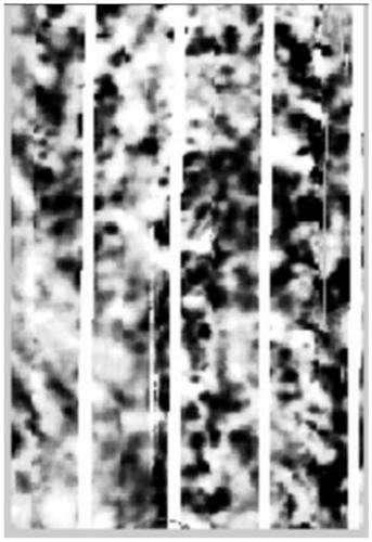 Lithofacies identification method and system for carbonate rocks