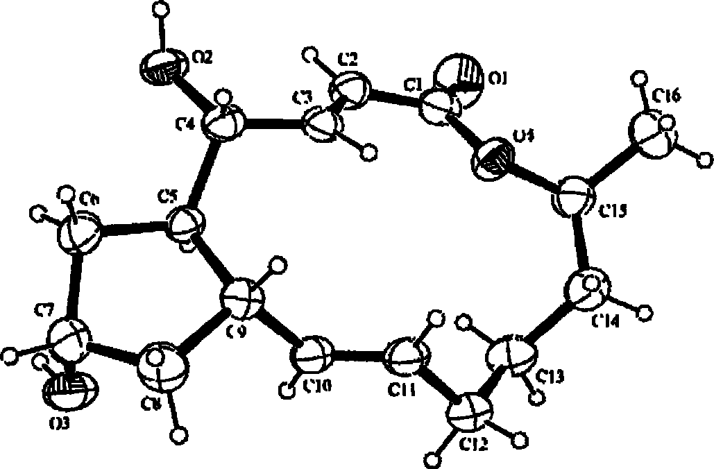 Eupenicillium brefeldianum variety ZJB082702 and application thereof in preparation of Brefeldin A by fermentation