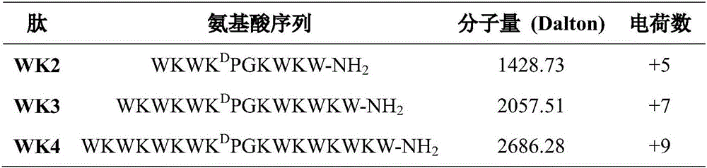 Tryptophan tension chain-beta-hairpin antibacterial peptide and preparation method and application thereof