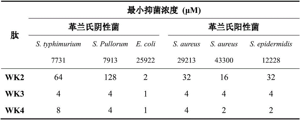 Tryptophan tension chain-beta-hairpin antibacterial peptide and preparation method and application thereof