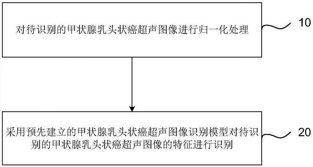 Ultrasonic image identification method and device for papillary thyroid carcinoma