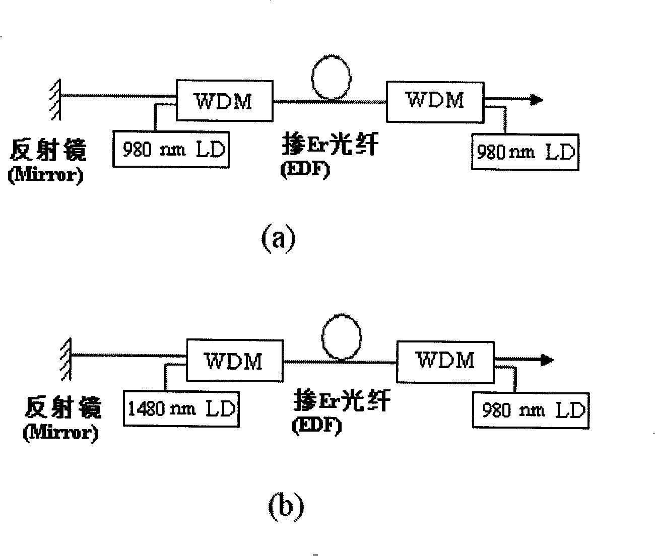 Ultra-short length erbium and ytterbium codoping high gain glass optical fiber superfluorescence light source