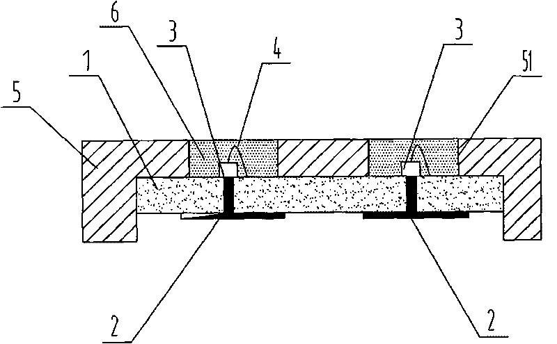 Method for manufacturing high-power white light LED