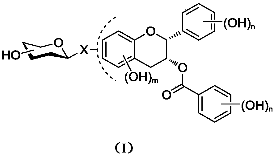 Epigallocatechin gallate glycoside derivative and application thereof