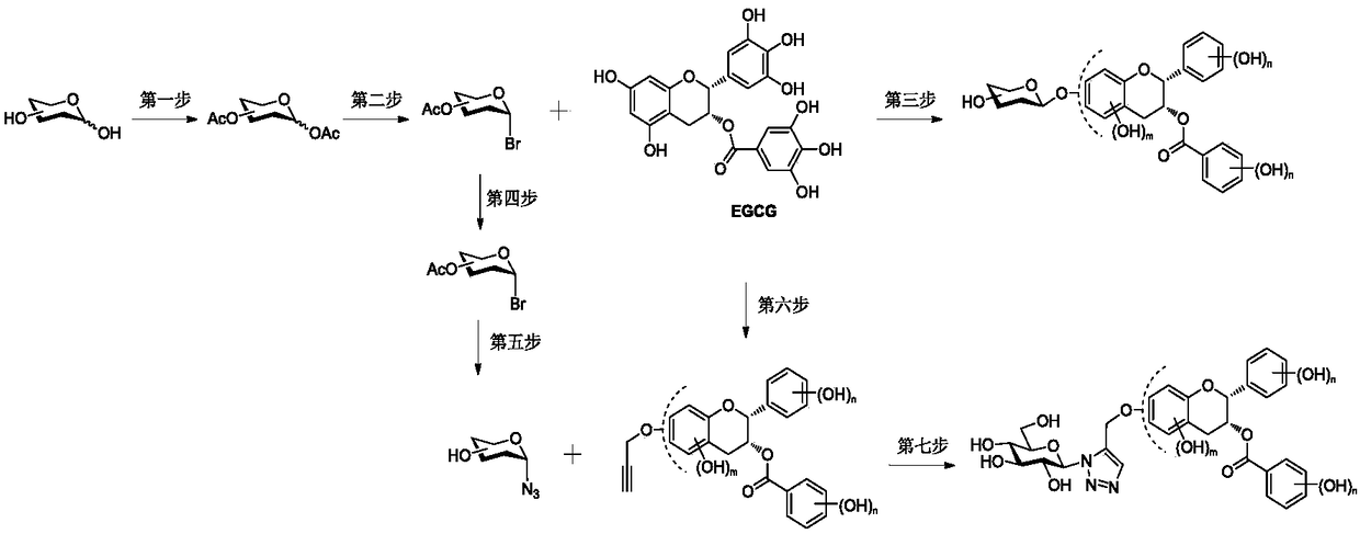 Epigallocatechin gallate glycoside derivative and application thereof