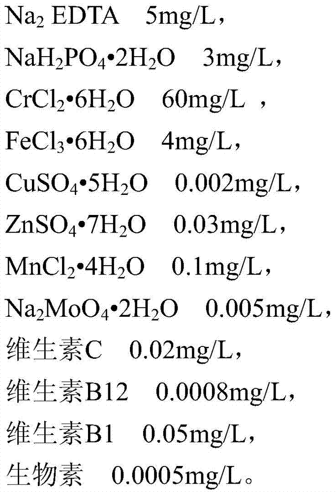 A kind of cultivation method of emerald green seawater pearl