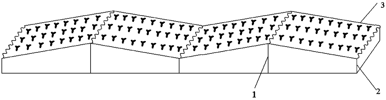 Waveform-seedling-culturing-bed seedling exercising method of bletilla-striata tissue culture seedlings