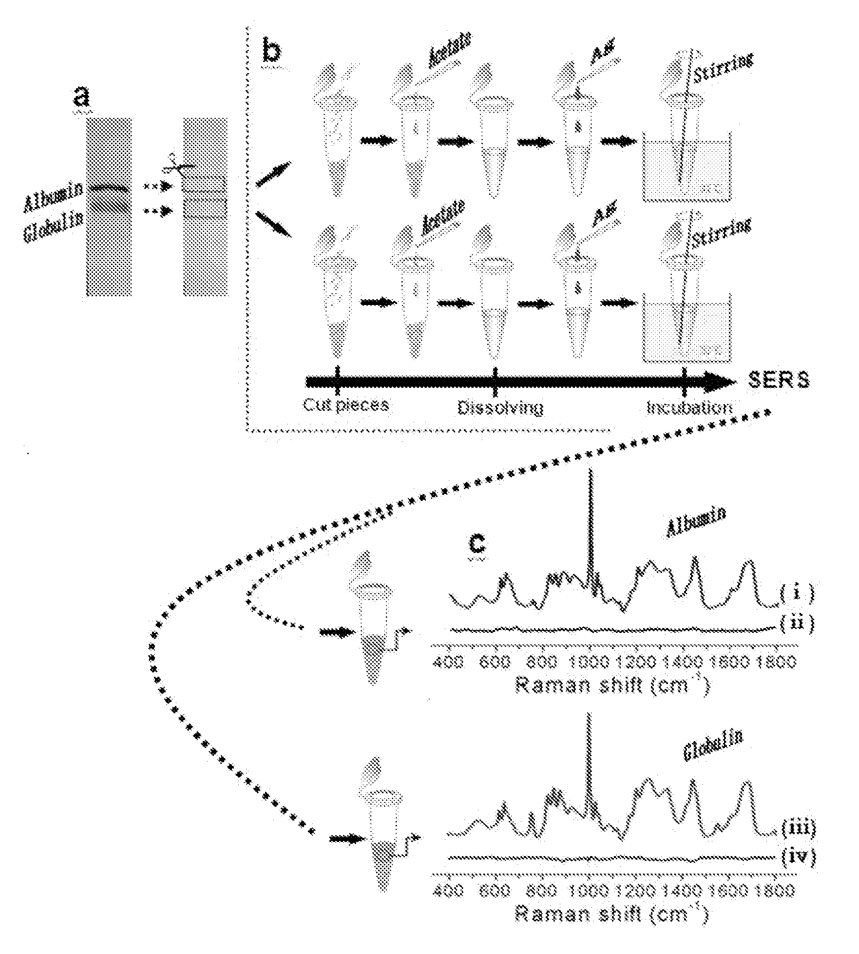 body fluid detection method using surface enhanced Raman spectroscopy