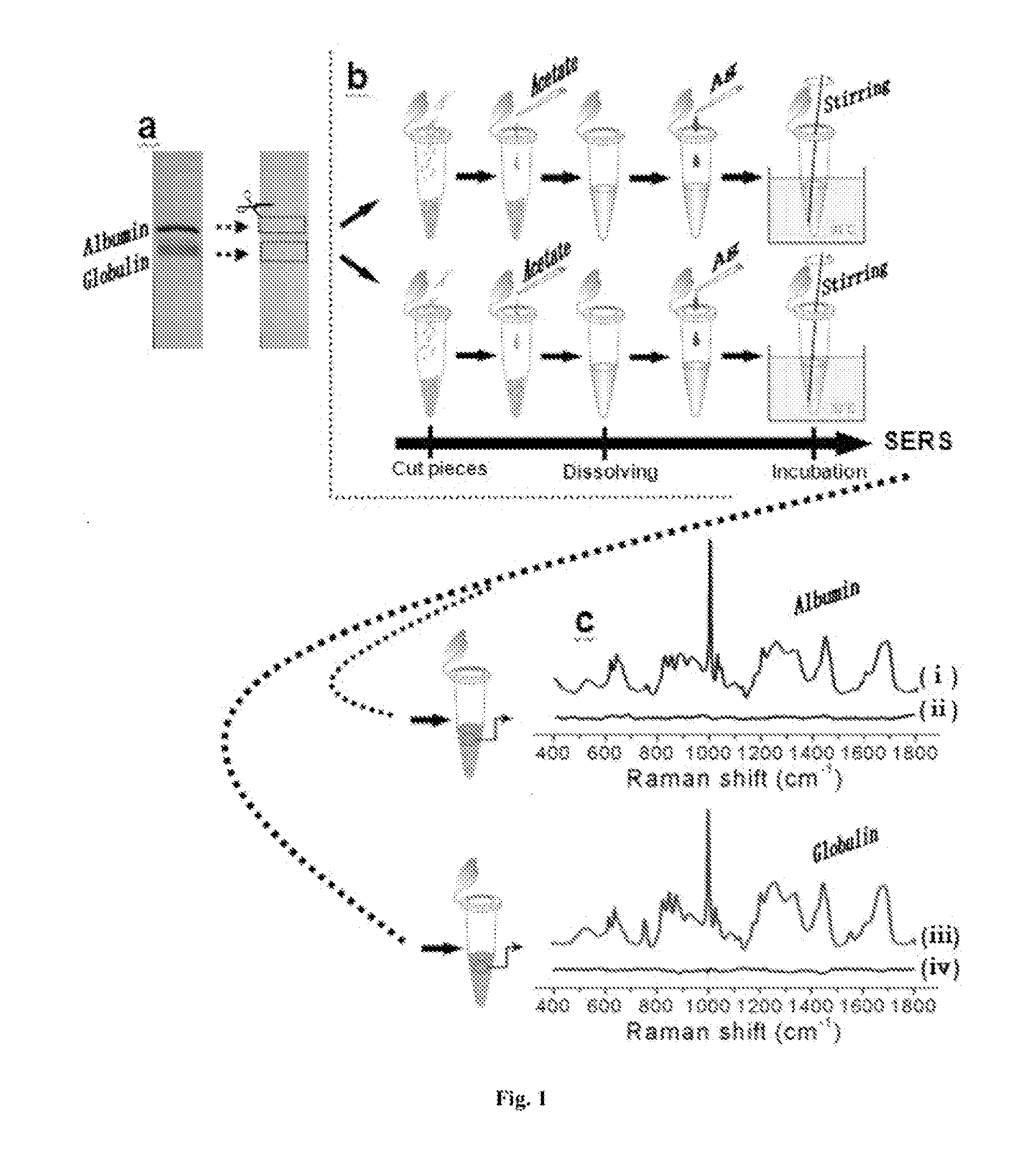 body fluid detection method using surface enhanced Raman spectroscopy