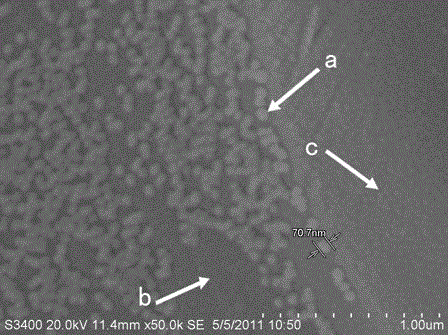 Combined filter membrane for efficient filtration of leukocyte, manufacturing method thereof and leukocyte filter