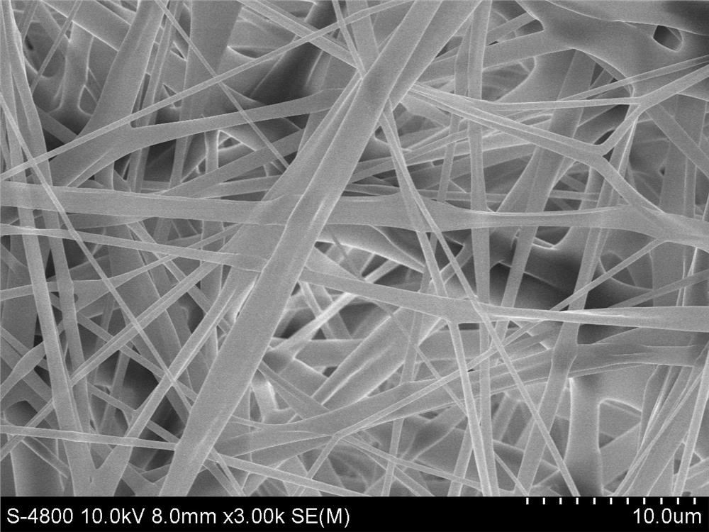 Preparation process of amino acid modified ethylene-vinyl alcohol copolymer nanofiber membrane