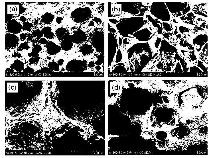 Calcium phosphate/collagen composite biologic ceramic material and preparation method thereof