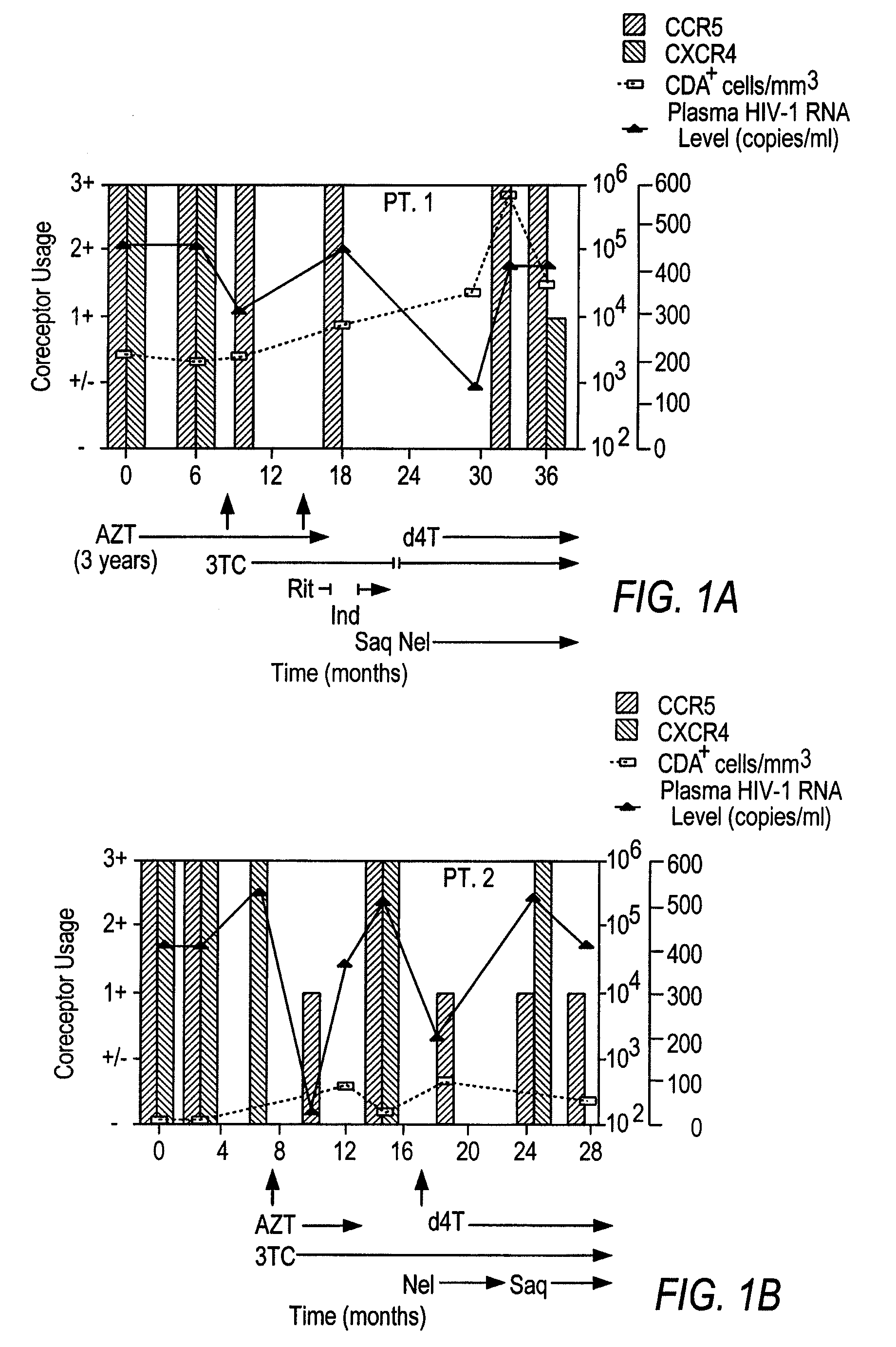 Heteroduplex tracking assay