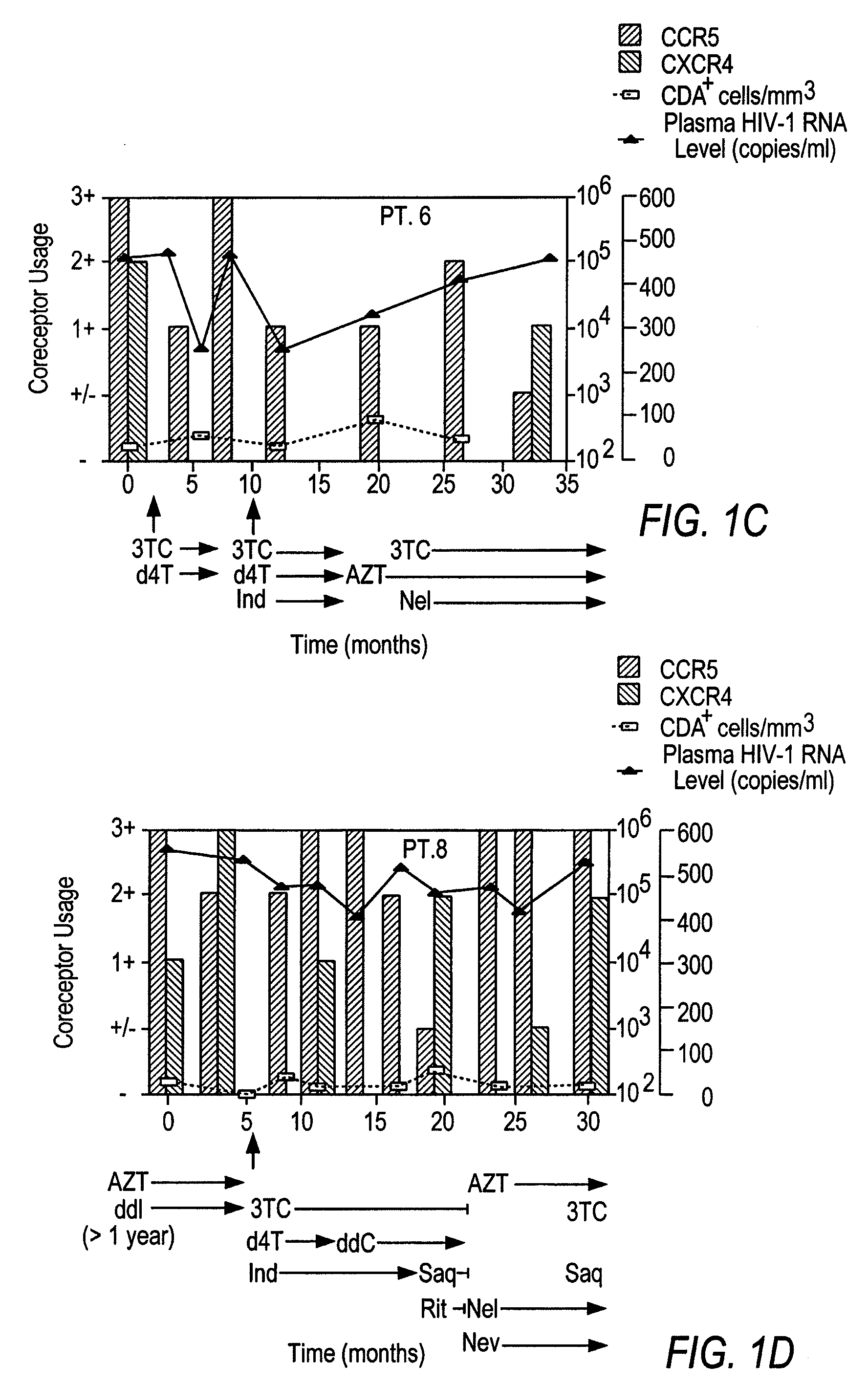 Heteroduplex tracking assay