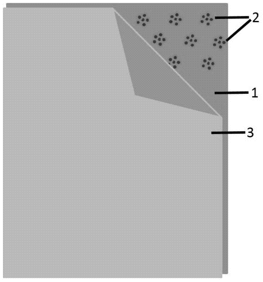 Functional microcapsule-finished composite fabric