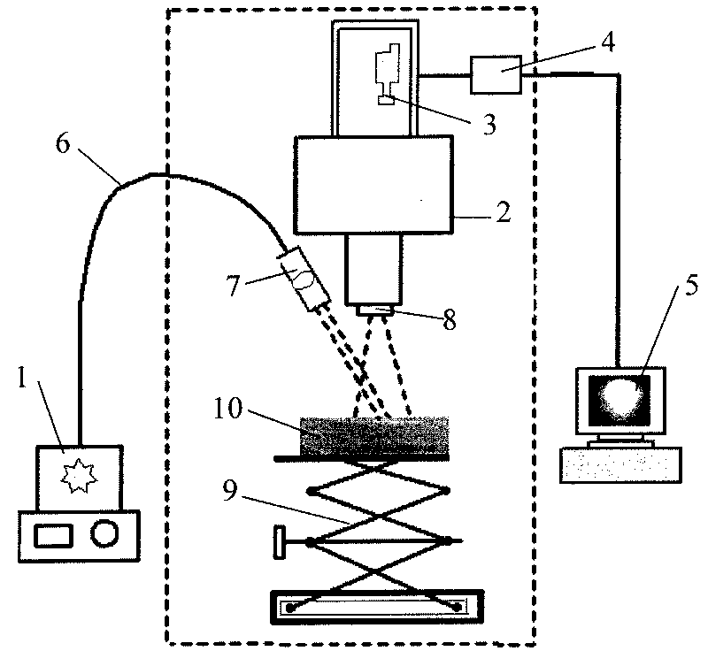 System and method for detecting quality of livestock meat