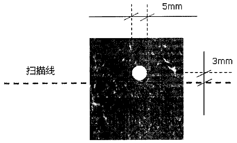 System and method for detecting quality of livestock meat