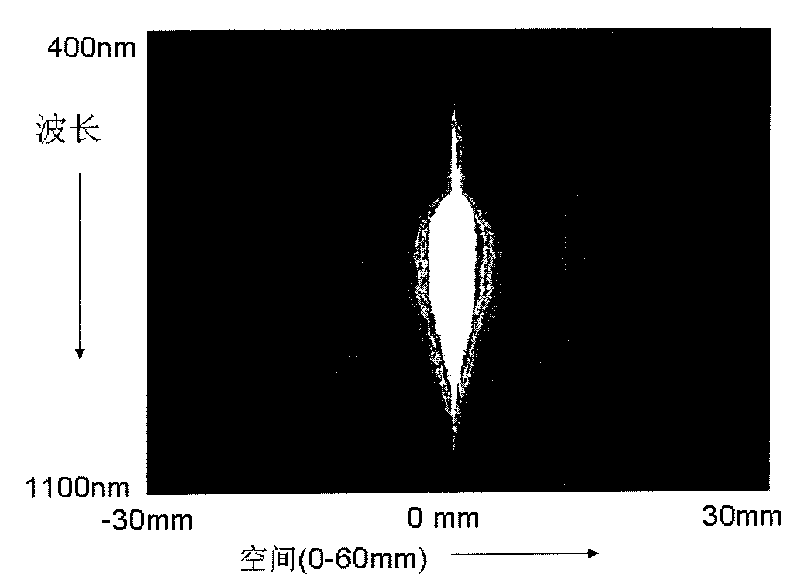 System and method for detecting quality of livestock meat