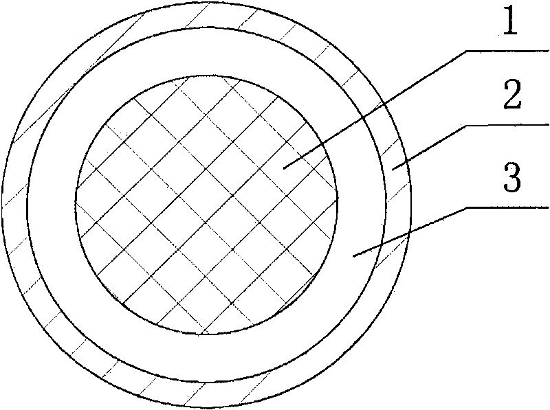 Compound copper conductor with decoration and antiseptic effect and manufacturing method thereof