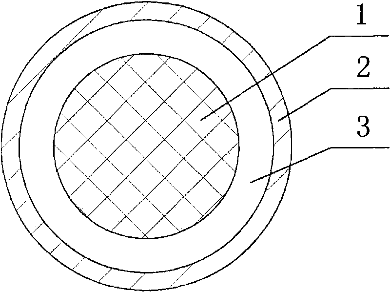 Compound copper conductor with decoration and antiseptic effect and manufacturing method thereof