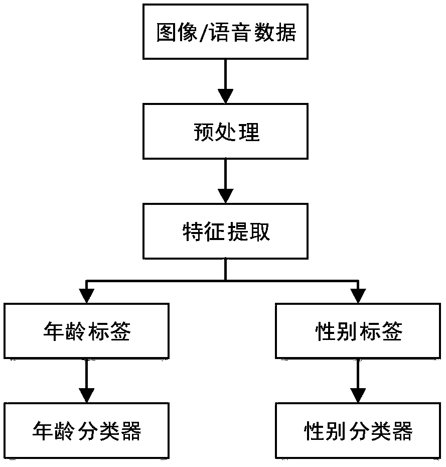 Age prediction system and method based on voiceprint and facial image feature fusion