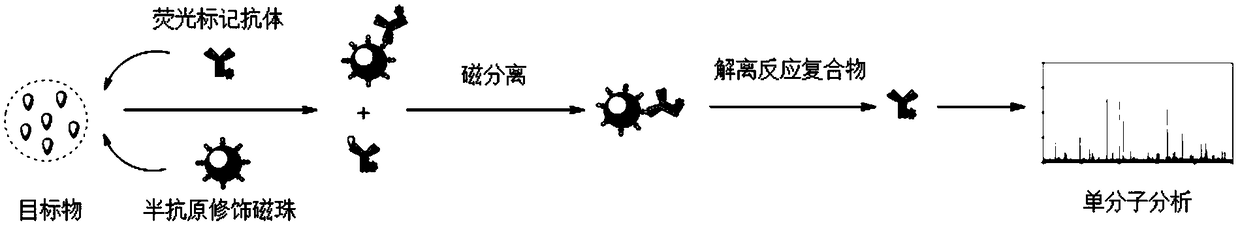 Method for ultra-sensitively detecting small molecular substances