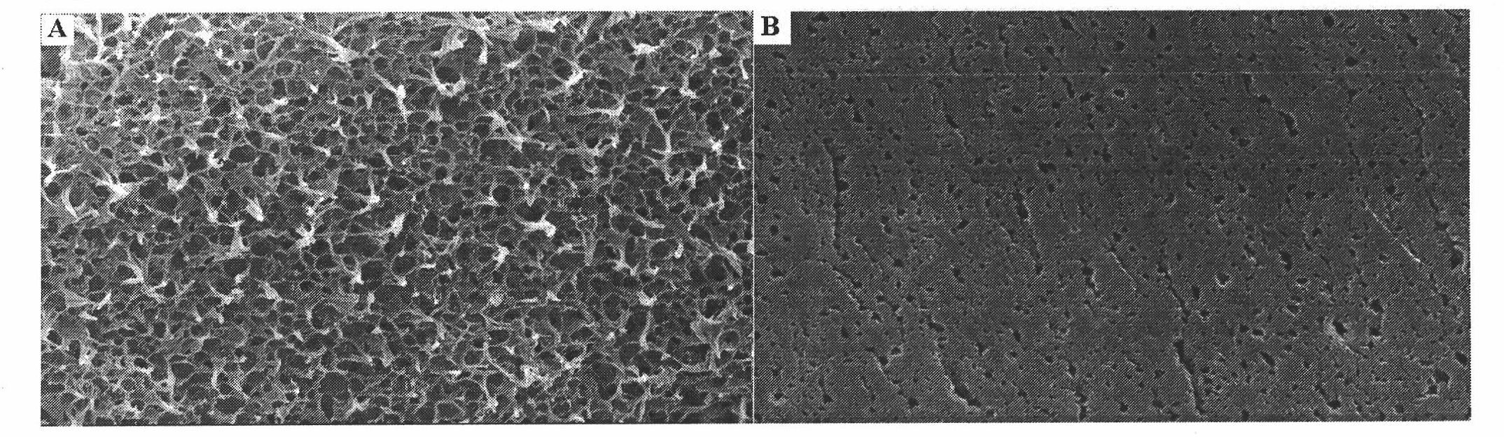 Polyester flat microporous membrane and preparation method thereof