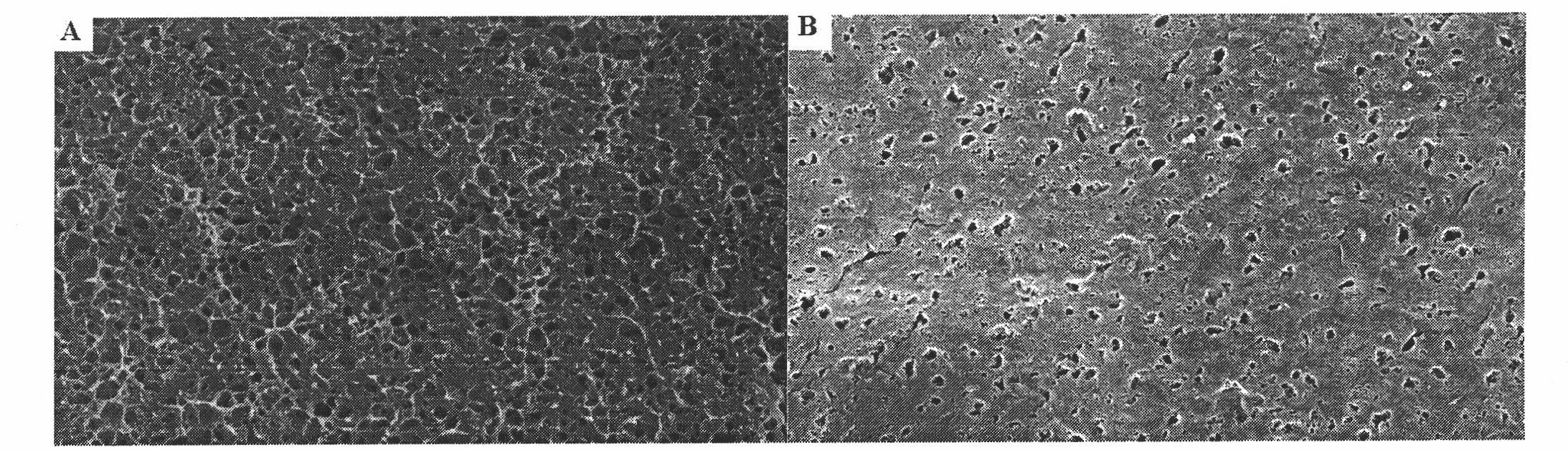 Polyester flat microporous membrane and preparation method thereof