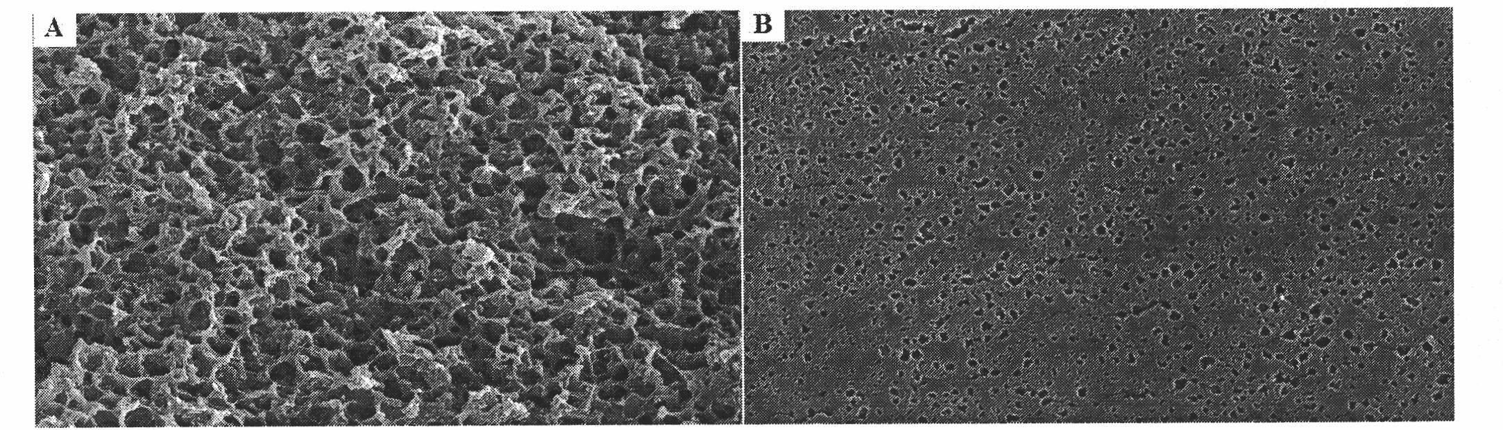 Polyester flat microporous membrane and preparation method thereof