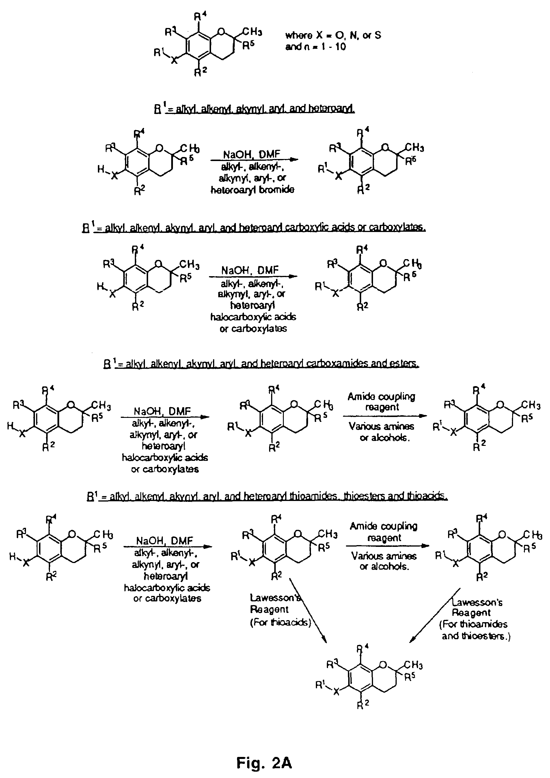 Tocopherols, tocotrienols, other chroman and side chain derivatives and uses thereof