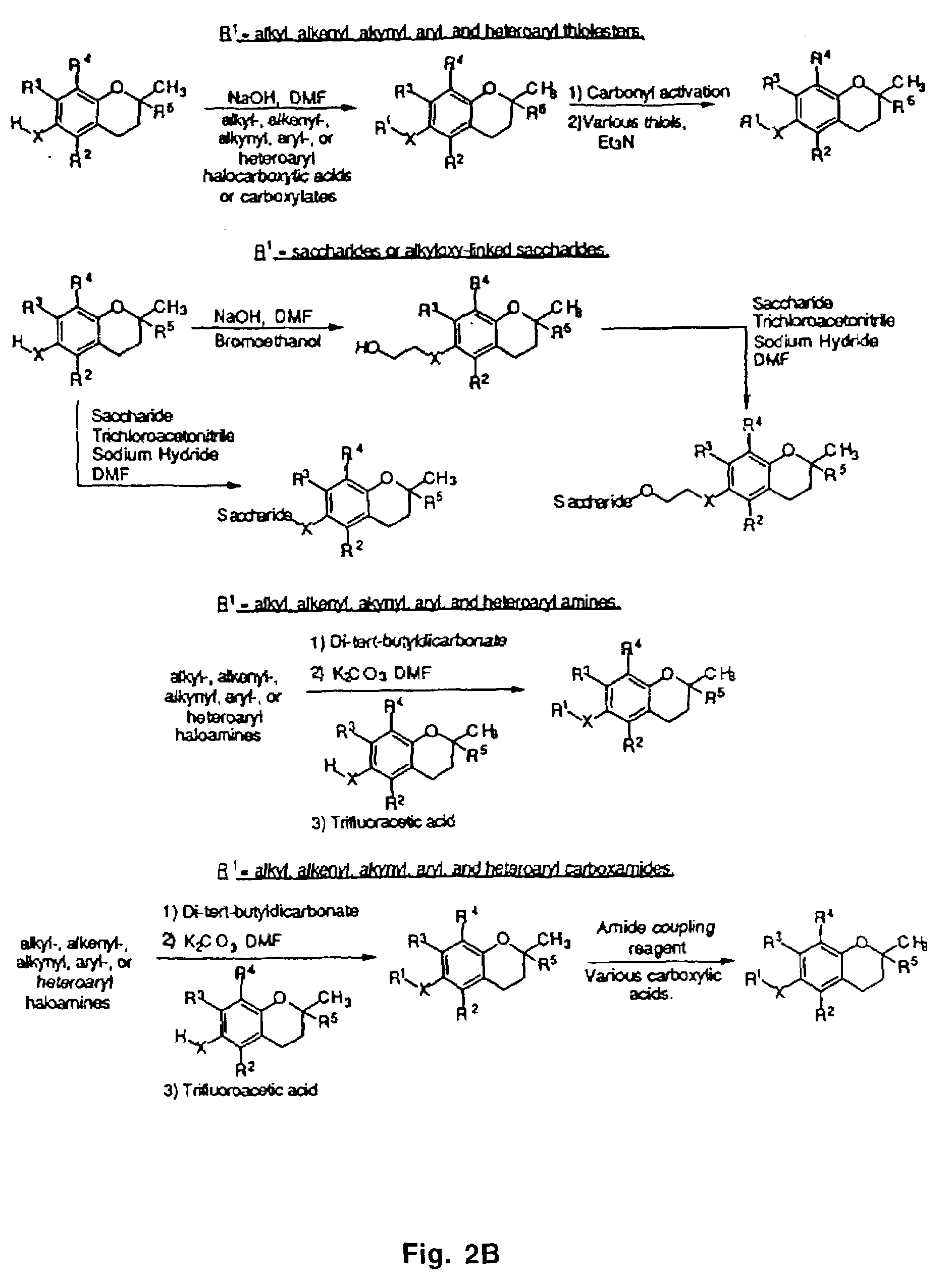 Tocopherols, tocotrienols, other chroman and side chain derivatives and uses thereof