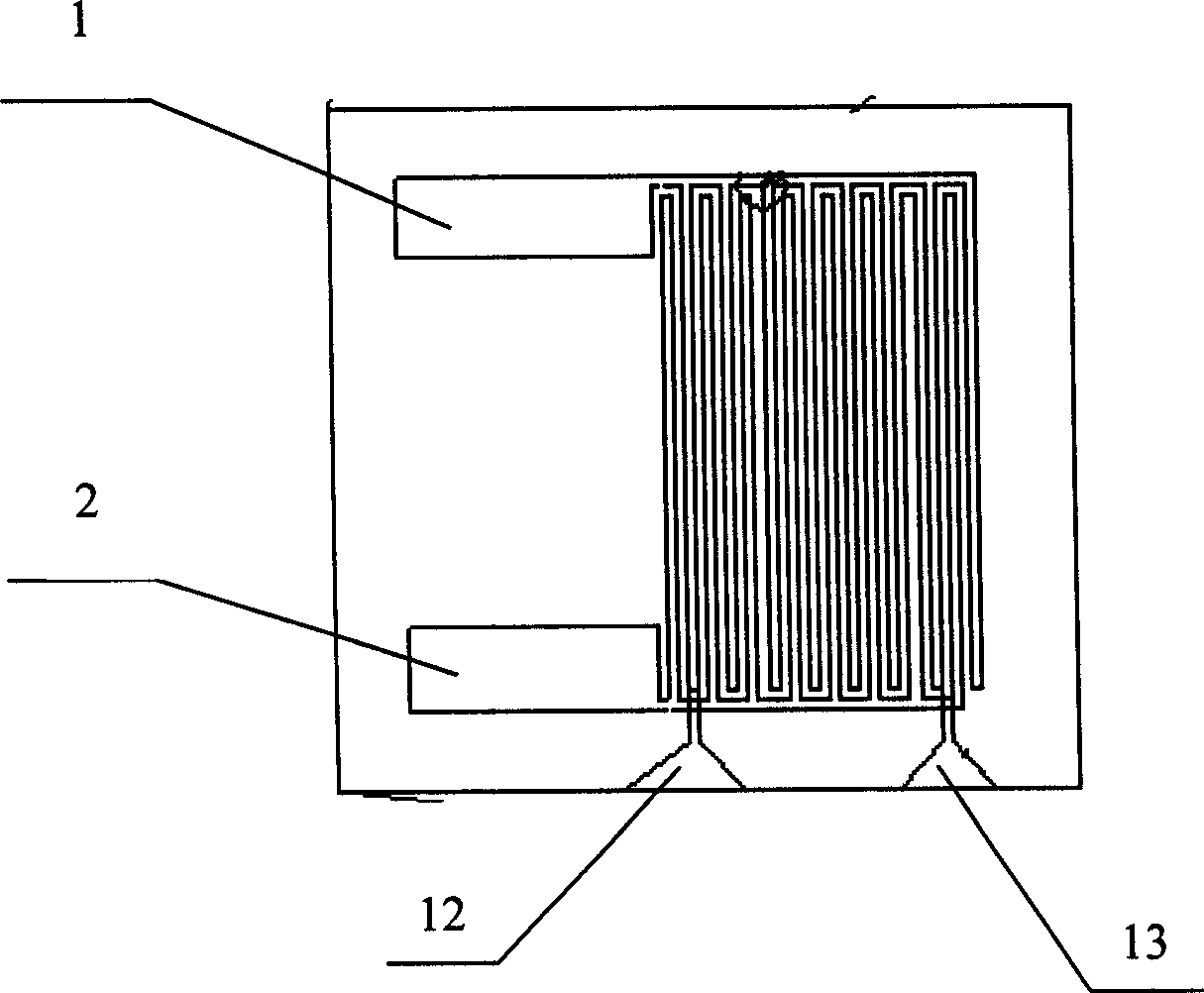 Sensor of chip contaonong microelectrode array