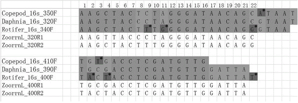 Zooplankton rrnL gene amplification primers and screening method, application and application method thereof