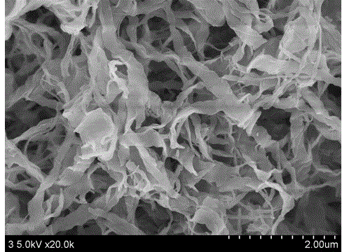 Carbon nanoribbon with large specific surface area and preparation method thereof