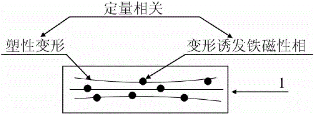 A method for detecting plastic deformation of austenitic stainless steel